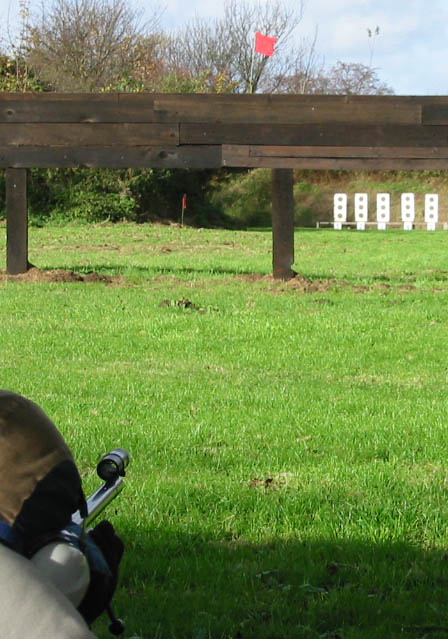 Small bore rifle at 100yd